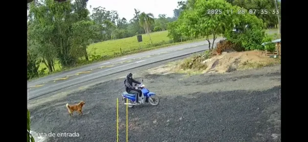 Cobertura de entrada